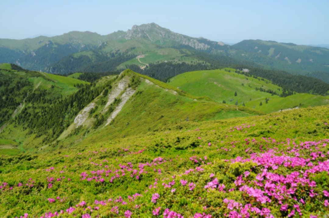 tour introductory image