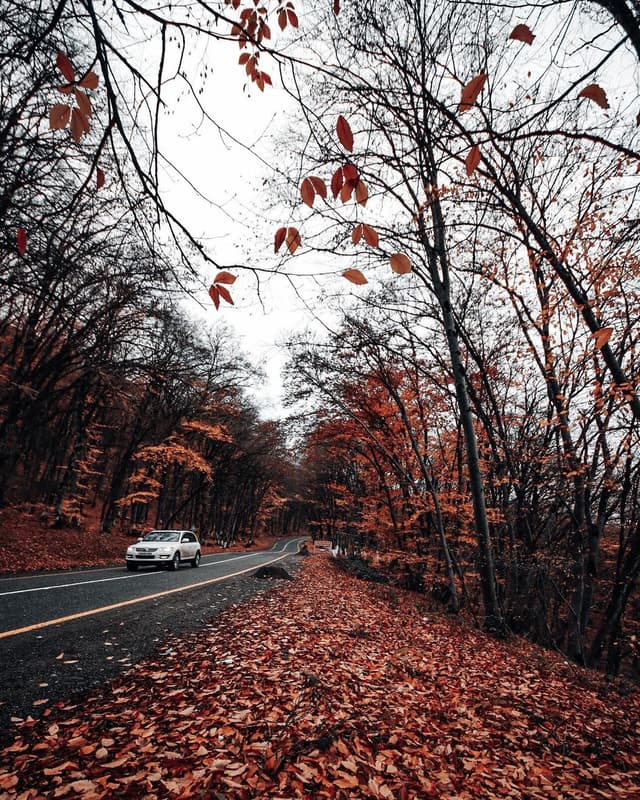 tour introductory image