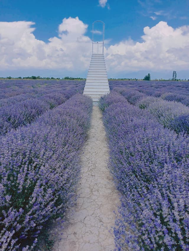 tour introductory image