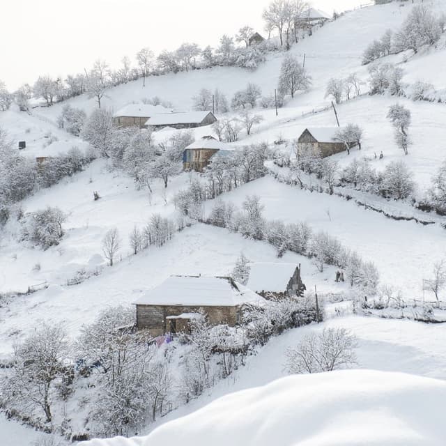 tour introductory image